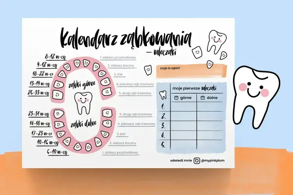 Kalendarz ząbkowania mleczaków. Ilustracja pokazuje schemat pojawiania się ząbków, kiedy wypada pierwszy ząb, oraz tabelę do zapisywania.